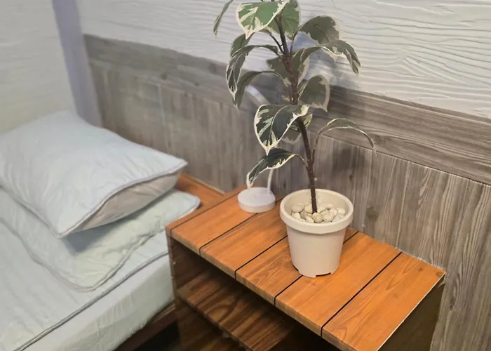 公寓 204 Olan Place Spacious With Fan And Wi-fi Near Bts Skytrain 曼谷